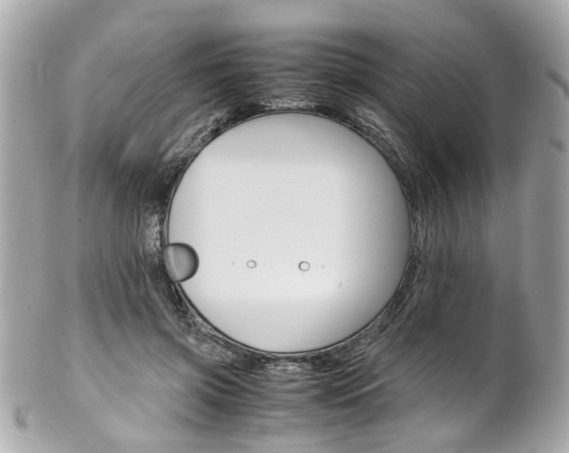 X0000102010549200807180913
