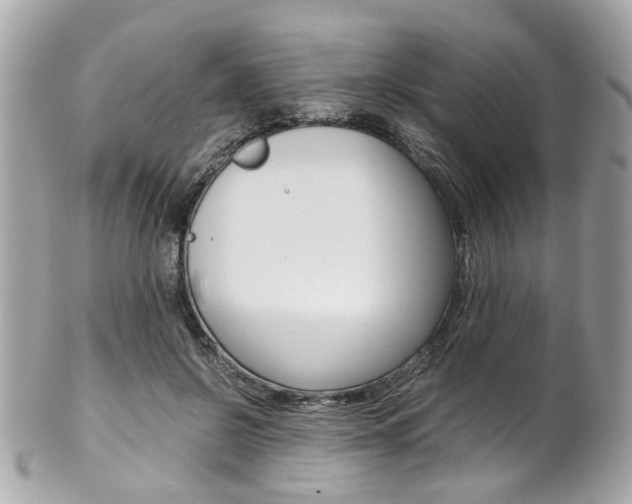 X0000102010550200807180913