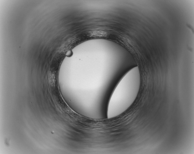 X0000102010551200807180913