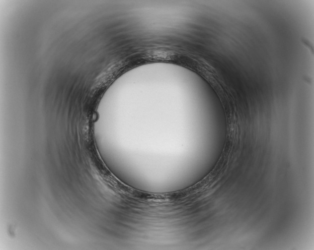 X0000102010552200807180913