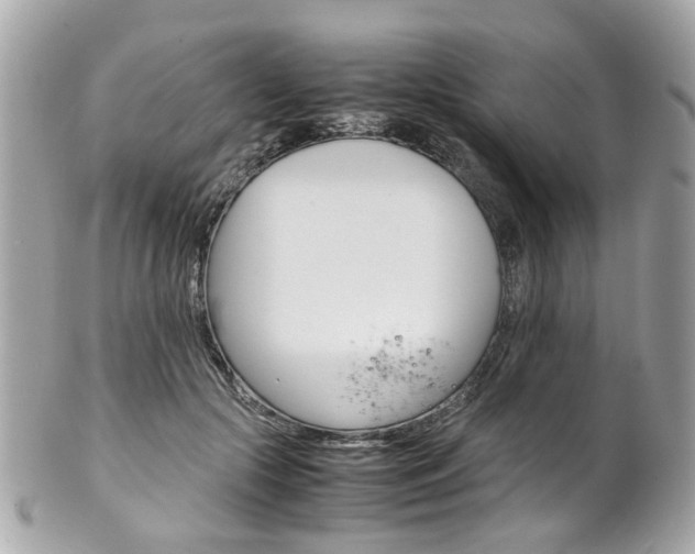 X0000102010553200807180913