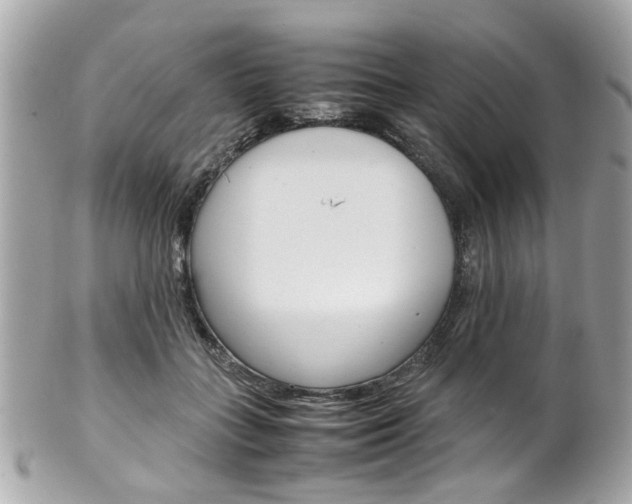 X0000102010555200807180913