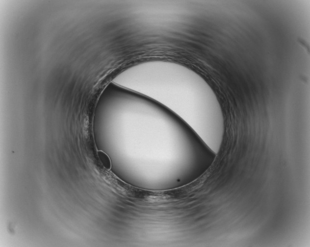 X0000102010556200807180913