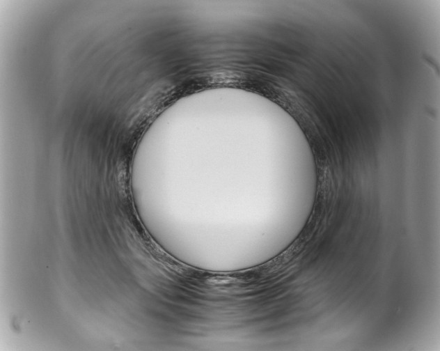 X0000102010557200807180913
