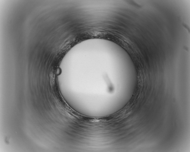 X0000102010558200807180913