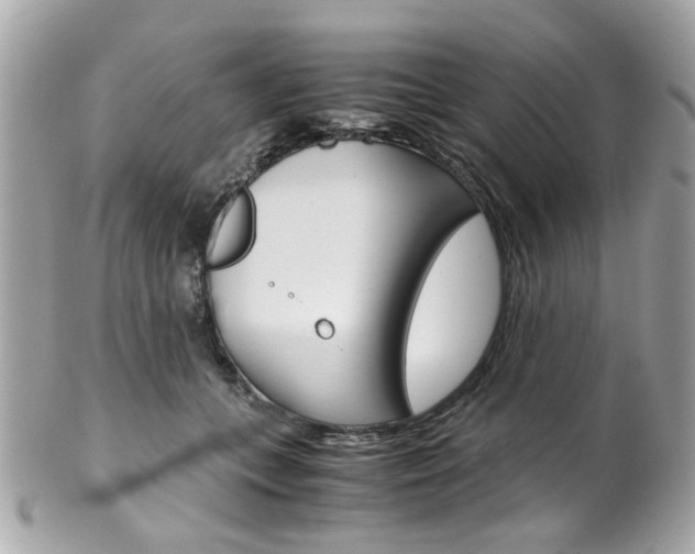 X0000102010559200807180913