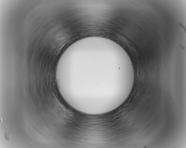 X0000102010560200807180913