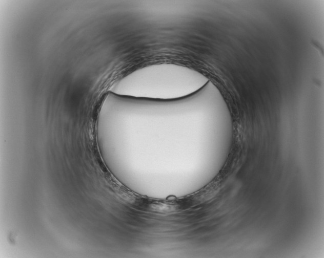 X0000102010561200807180913