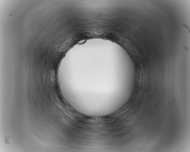 X0000102010563200807180913