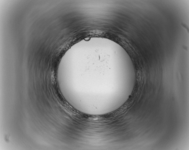 X0000102010564200807180913