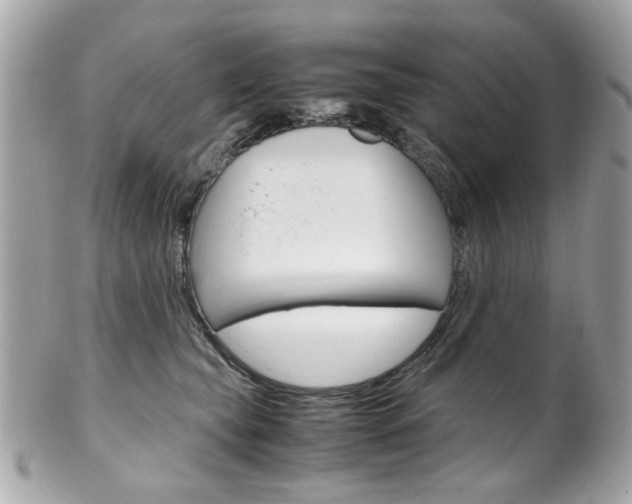 X0000102010565200807180913