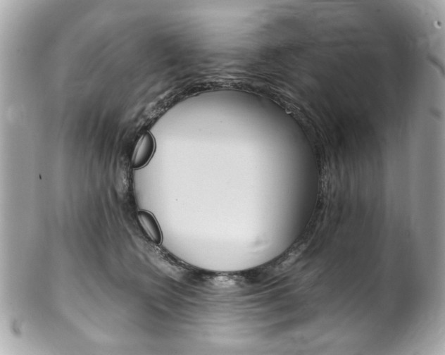 X0000102010566200807180913
