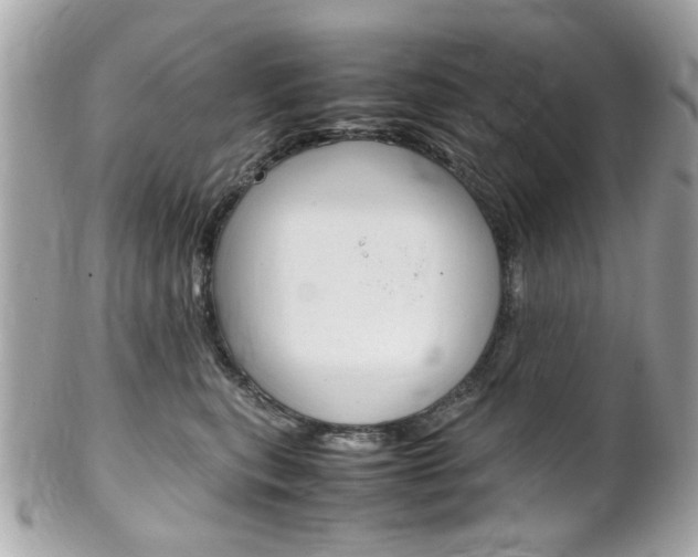 X0000102010567200807180913