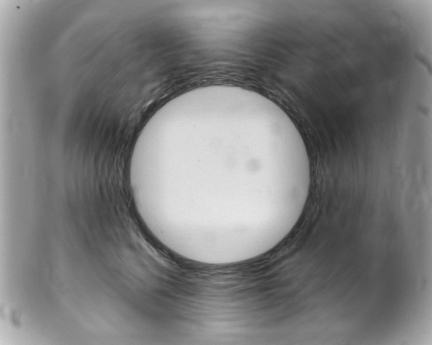 X0000102010568200807180913