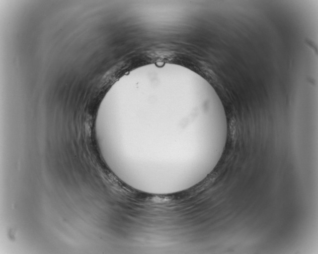 X0000102010570200807180913