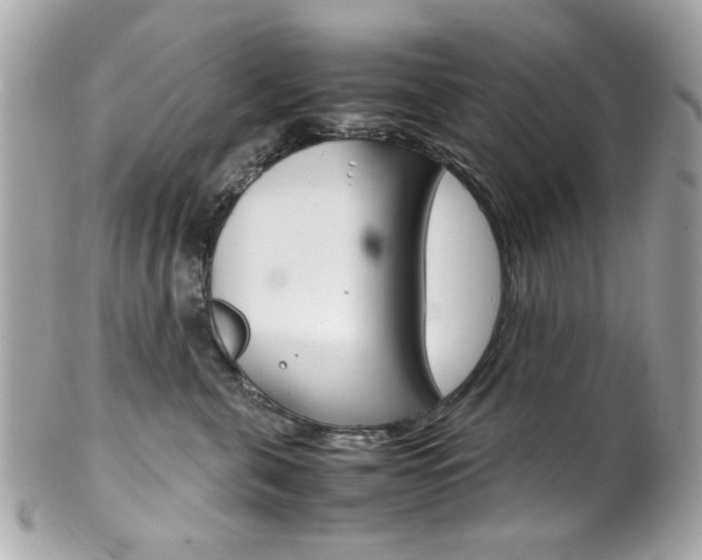X0000102010571200807180913