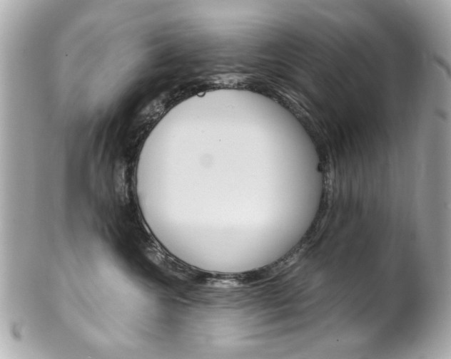 X0000102010572200807180913