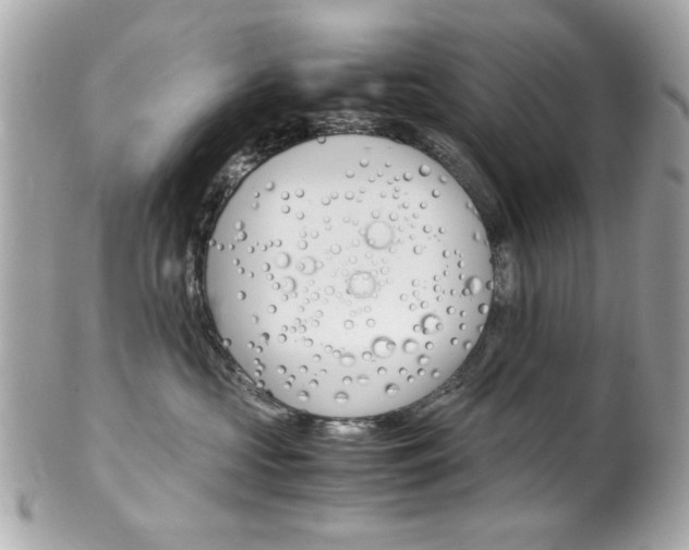 X0000102010573200807180913