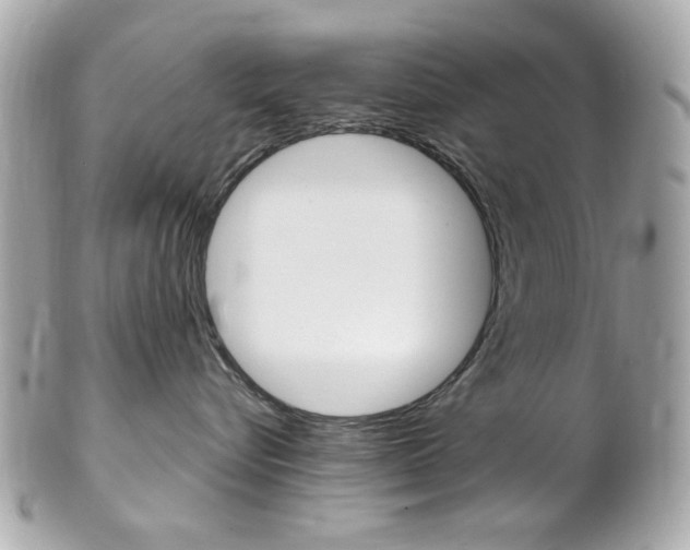 X0000102010576200807180913