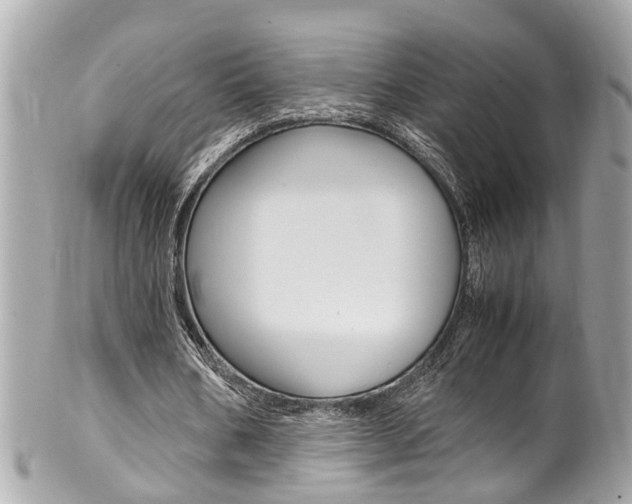 X0000102010578200807180913