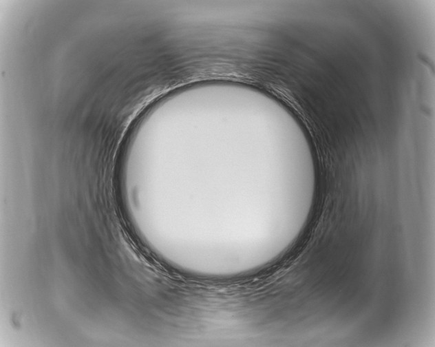 X0000102010579200807180913