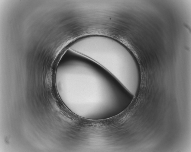 X0000102010580200807180913