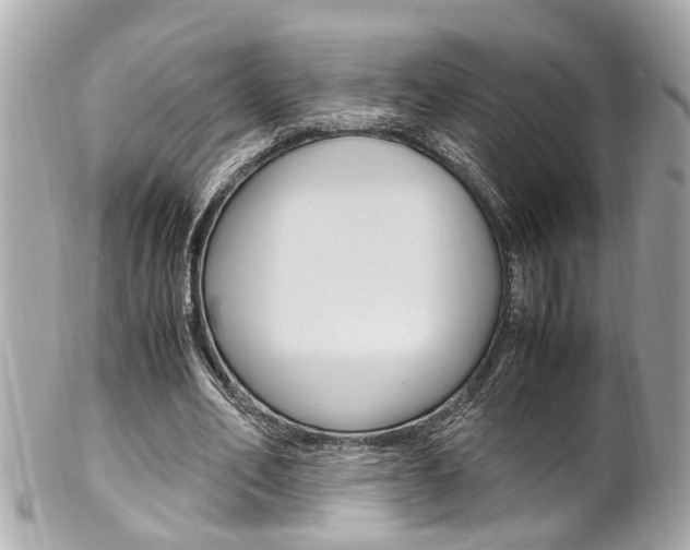 X0000102010582200807180913
