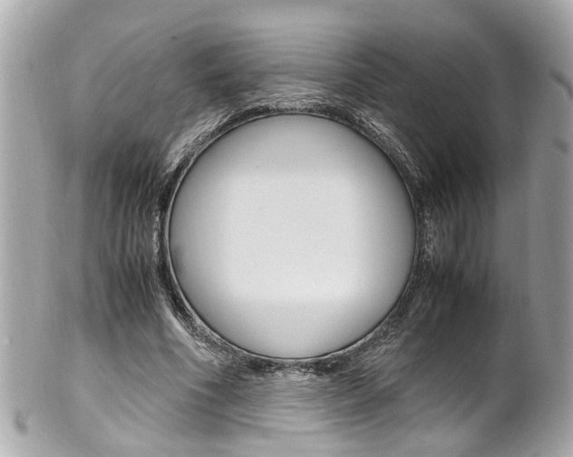 X0000102010586200807180913