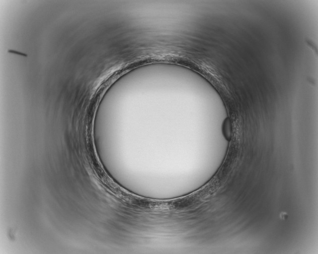 X0000102010587200807180913