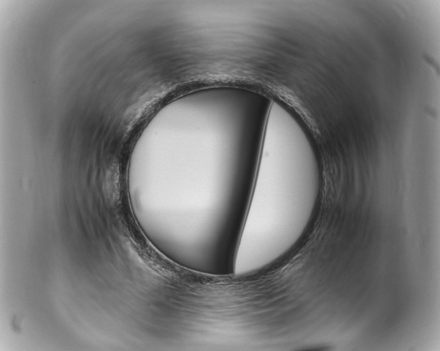 X0000102010588200807180913