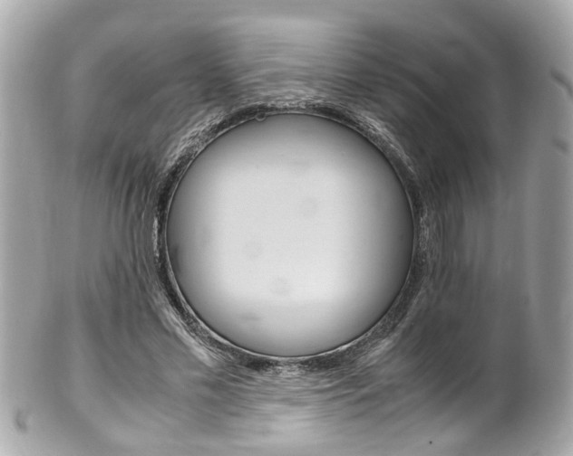 X0000102010589200807180913