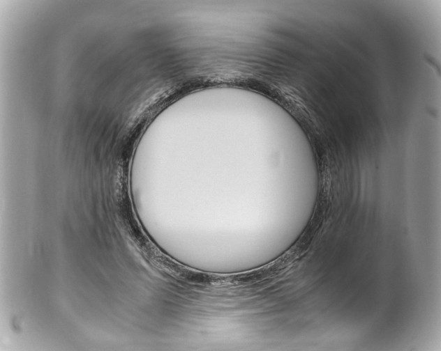 X0000102010591200807180913