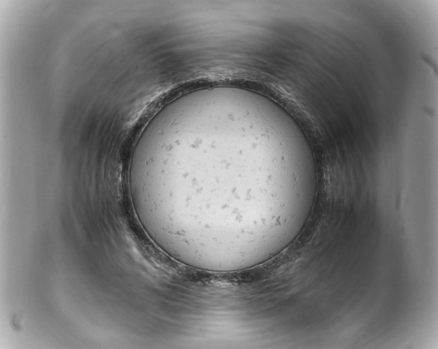 X0000102010592200807180913