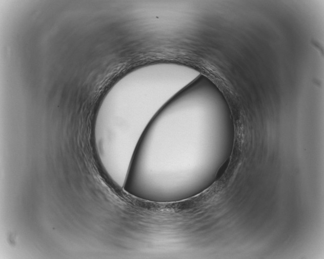 X0000102010593200807180913