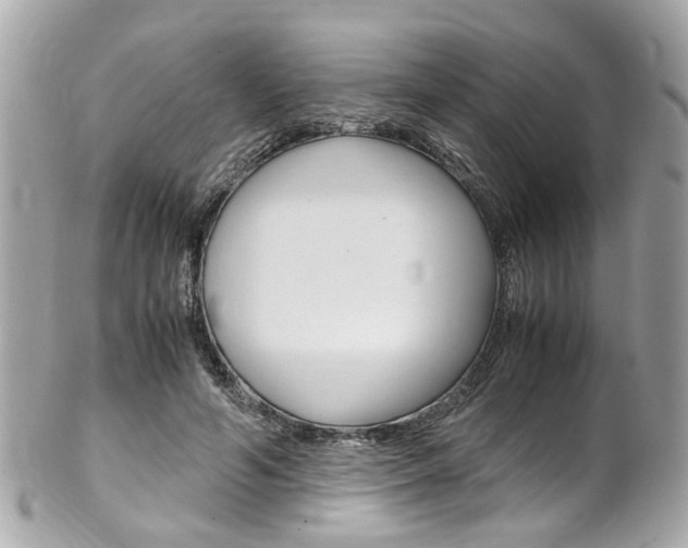 X0000102010594200807180913