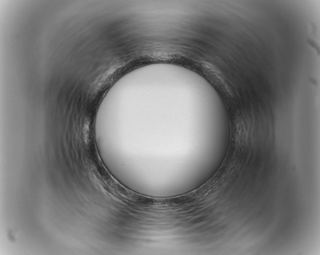 X0000102010596200807180913