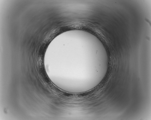 X0000102010597200807180912