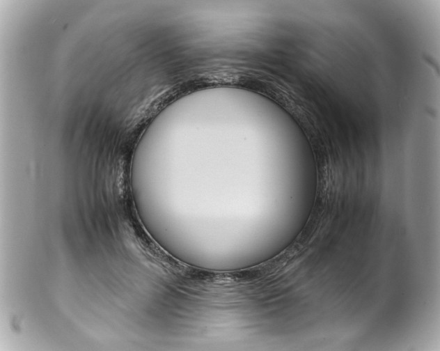 X0000102010600200807180912
