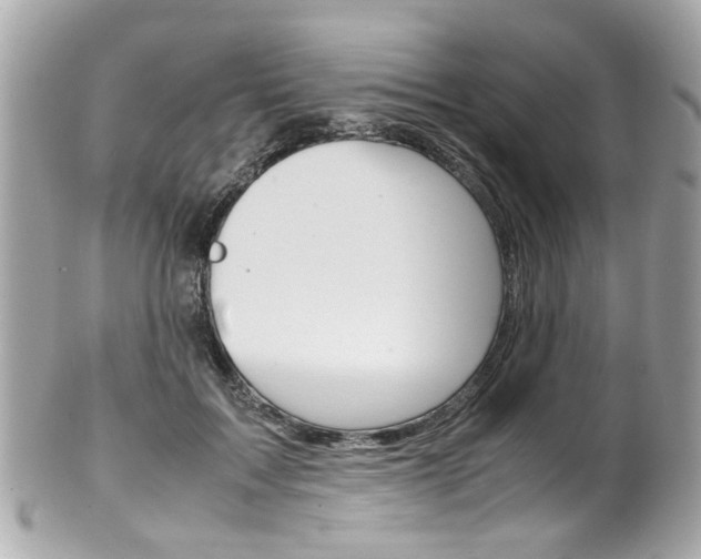 X0000102010603200807180912