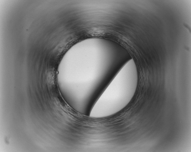 X0000102010604200807180912