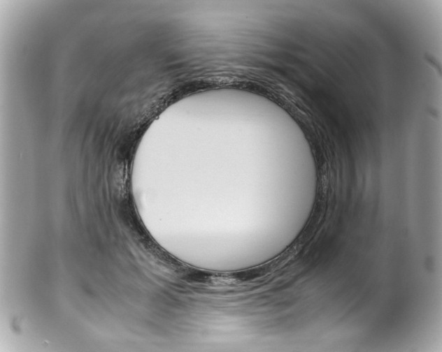 X0000102010605200807180912