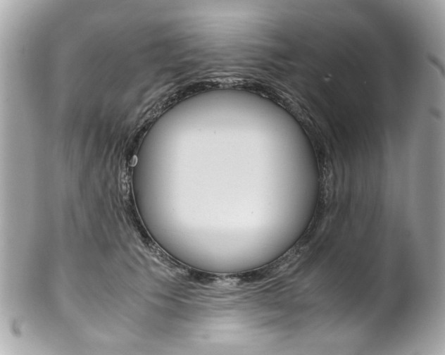 X0000102010609200807180912
