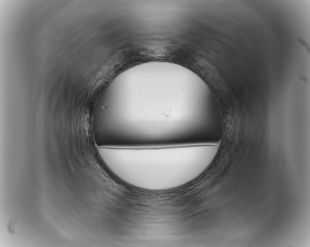 X0000102010612200807180912