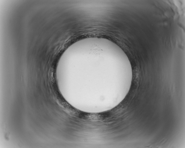 X0000102010615200807180912