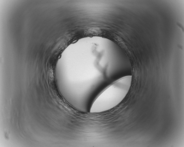 X0000102010617200807180912