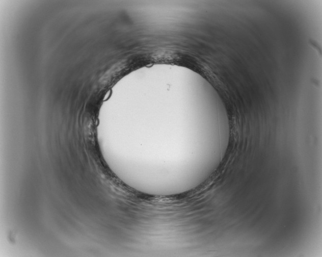 X0000102010619200807180912