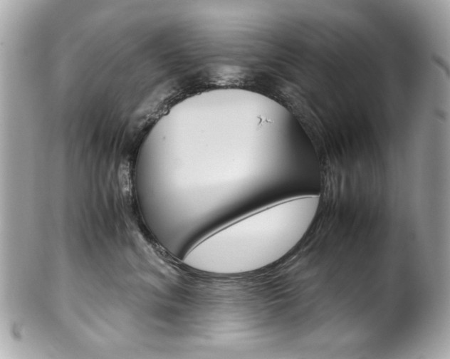 X0000102010620200807180912