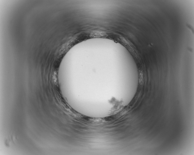 X0000102010621200807180912