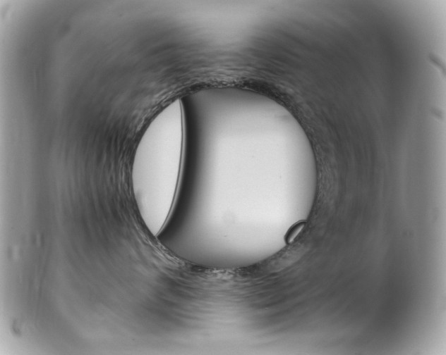 X0000102010624200807180912