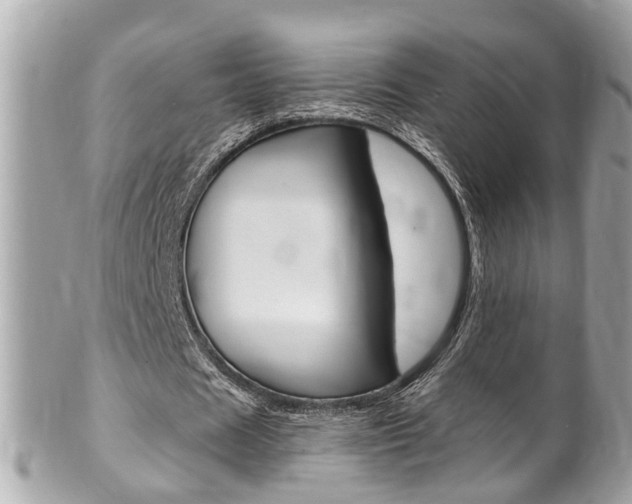 X0000102010625200807180911